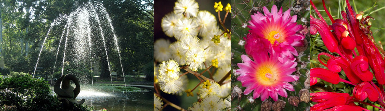 Hunter Region Botanic Gardens